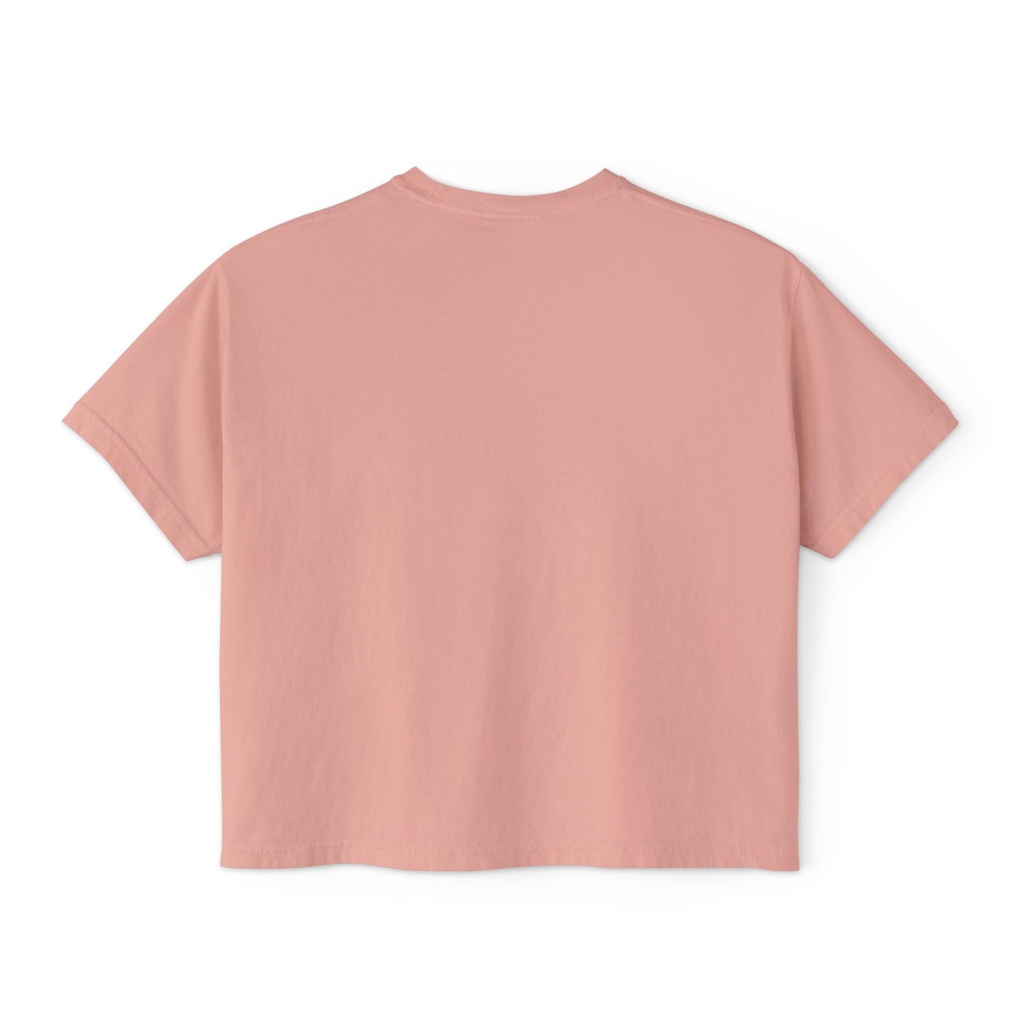 Copy of Desert Cactus Landscape Tee | Women's Boxy Tee