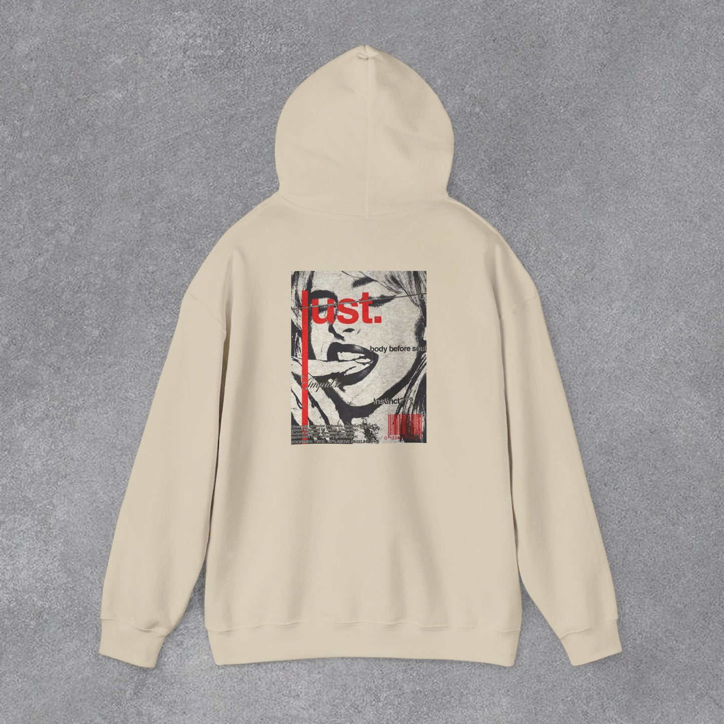 💫Grafik / Desen Baskılı Kapüşonlu Sweatshirt🎀