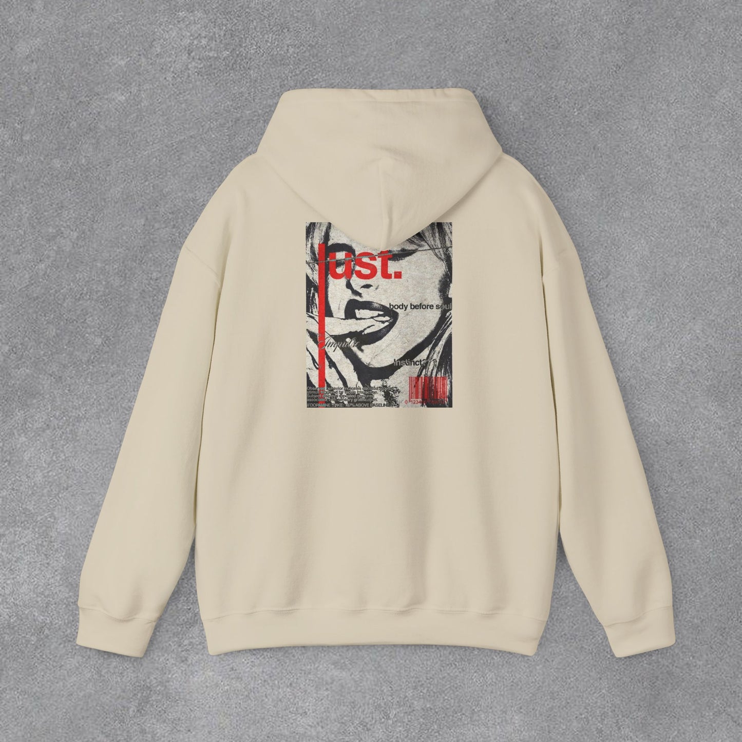 💫Grafik / Desen Baskılı Kapüşonlu Sweatshirt🎀