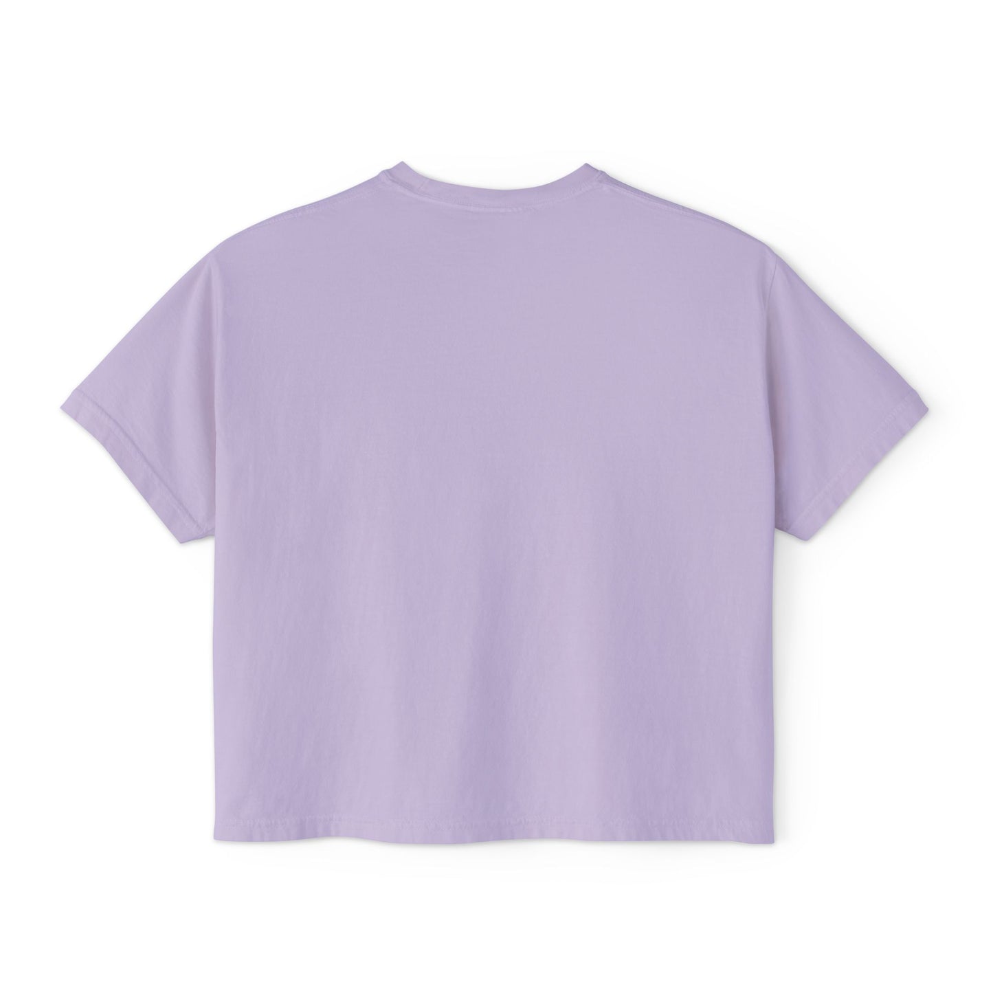 Copy of Desert Cactus Landscape Tee | Women's Boxy Tee